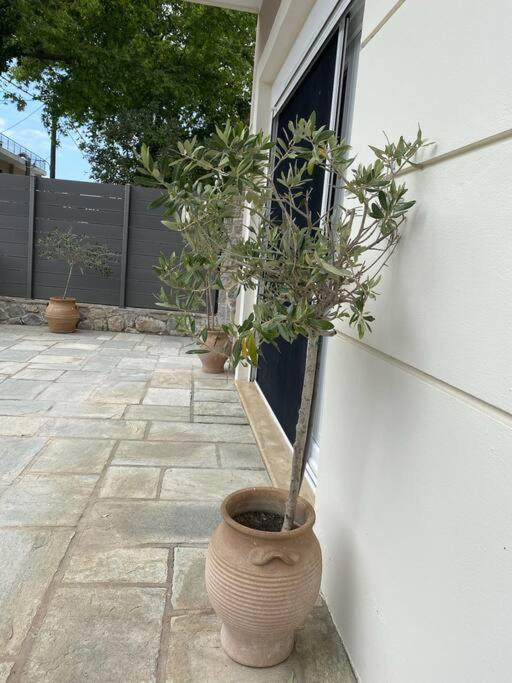 Villa Oleander Agios Nikolaos Loutra Edipsou Dış mekan fotoğraf