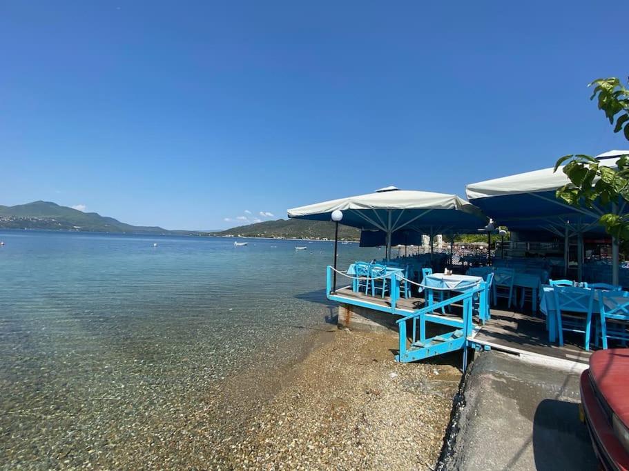 Villa Oleander Agios Nikolaos Loutra Edipsou Dış mekan fotoğraf