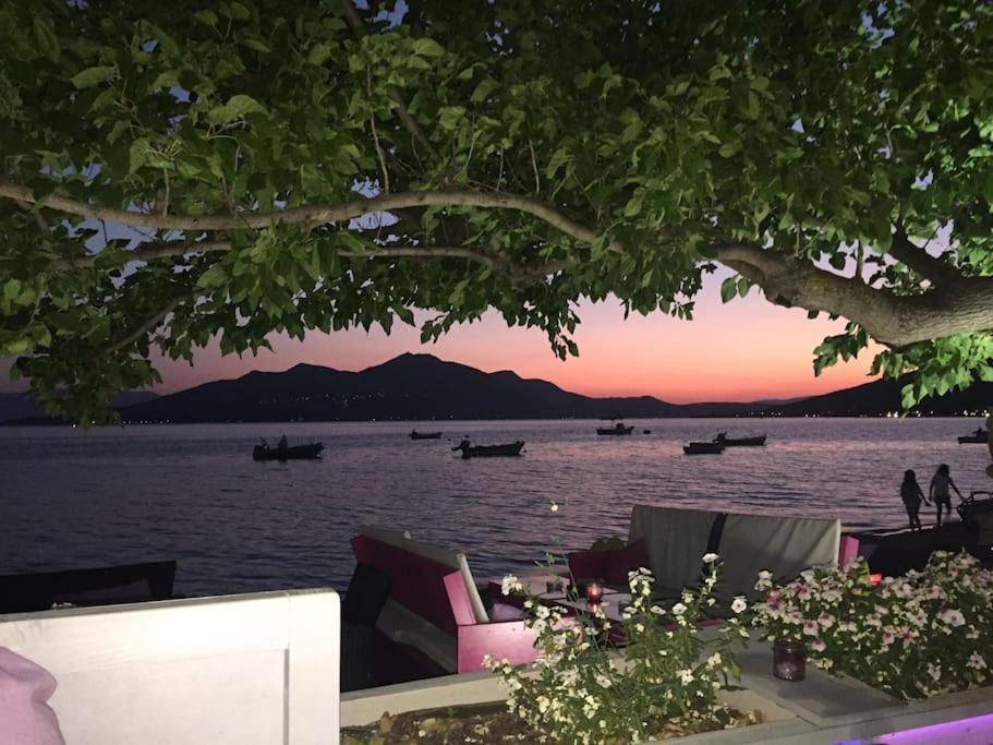 Villa Oleander Agios Nikolaos Loutra Edipsou Dış mekan fotoğraf